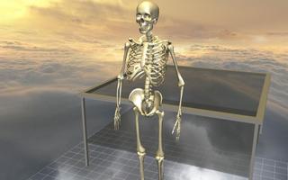 Body Disassembly 3D capture d'écran 1