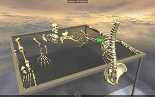 Body Disassembly 3D capture d'écran 2