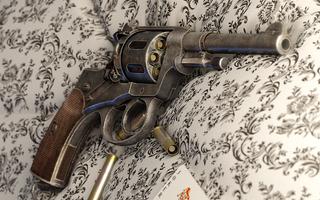 How it Works: Nagant M1895 Screenshot 1