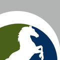 Noble Seguros