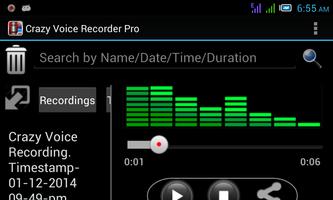 Crazy Voice Recorder screenshot 1
