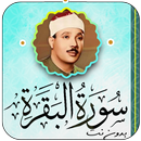 سورة البقرة عبدالباسط بدون نت APK