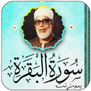 سورة البقرة بصوت محمود الحصري APK