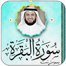 سورة البقرة بصوت مشاري العغاسي APK