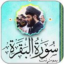 سورة البقرة بصوت رعد الكردي APK