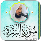 سورة البقرة وديع اليمني دون نت icono