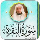 سورة البقرة سعد الغامدي دون نت APK