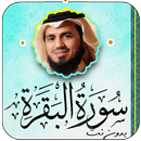 سورة البقرة أبو بكر الشاطري APK