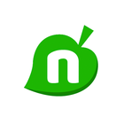 Nookazon icône