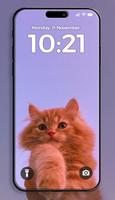 Sevimli Kedi Duvar Kağıtları Ekran Görüntüsü 3