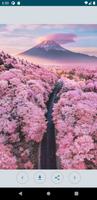 صور خلفيات ورد جميلة جدا جدا gönderen