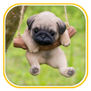 Puppy Wallpapers APK