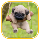 Puppy Wallpapers আইকন