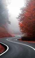 Road Wallpapers Screenshot 1