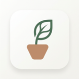 urban plant care