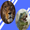 Fondos De Pantalla  De Animale