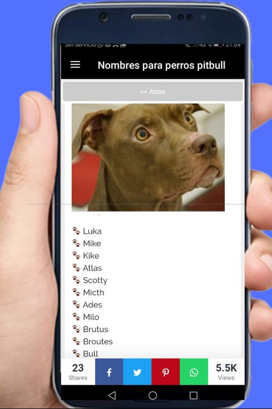 Nombres Para Perros Pitbull poster