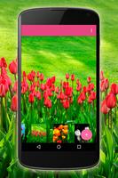 Papel de Parede Tulipas 截圖 3