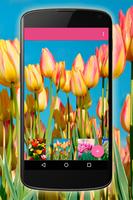 Papel de Parede Tulipas 海報