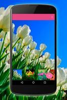 Papel de Parede Tulipas 截圖 2