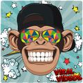New Viral Videos 2019