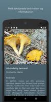 Danmarks svampeatlas ภาพหน้าจอ 1