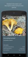 Atlas of Danish Fungi screenshot 3