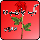 Rag-e-Jaan Hai Wo APK