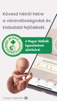 PregHello poster