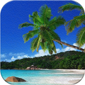 Beach Wallpaper iPhone