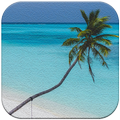 Beach Background