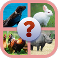 Guess the Animal