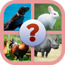 Guess the Animal APK