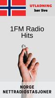 1FM  Radio Hits Gratis Online captura de pantalla 1