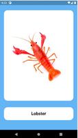 Picture Book screenshot 3