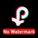 Video Downloader for TikTok - No Watermark APK