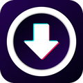 Video Downloader No Watermark