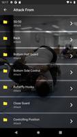 Bra Jiujitsu Videos captura de pantalla 1