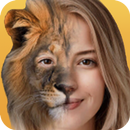FaceCeleb - Один клик становится старше, милое APK
