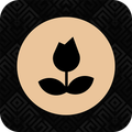 Buffet Tulipas