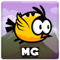 Magic Bird