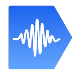 VibSensor APK 下載