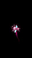 ブライトバグズ スクリーンショット 2