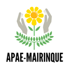 ikon APAE de Mairinque NotaBê