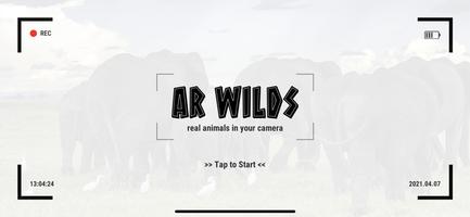 AR Wilds poster
