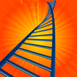 School Grades Manager - For St