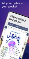 Goodnotes 5-poster
