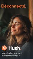 Ne pas déranger premium - Hush Affiche