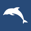 raws - RSS News Reader