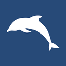 raws - RSS News Reader APK
